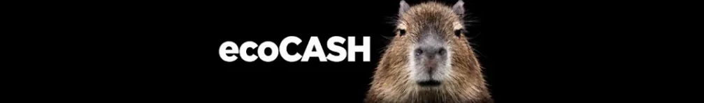 ecoCASH channel banner